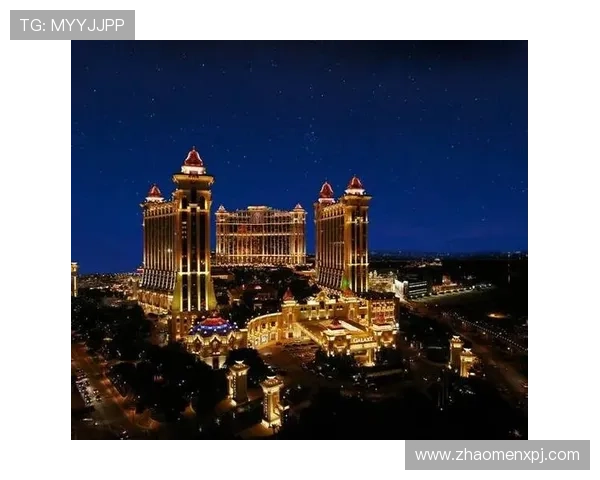 澳门十大娱乐场所法人代表的详细介绍与行业影响分析